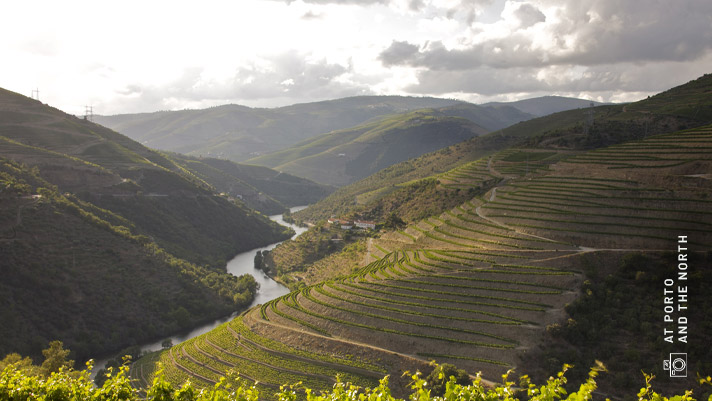 Douro Valley – Image Credit: AT Porto and the North