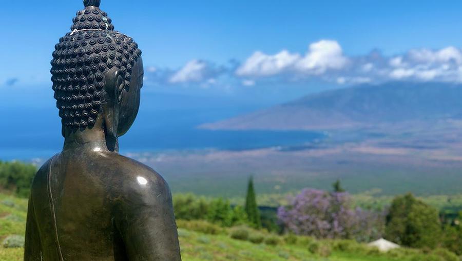 A postcard-worthy view of Lanai from a hilltop perspective with a local statue facing towards the ocean.